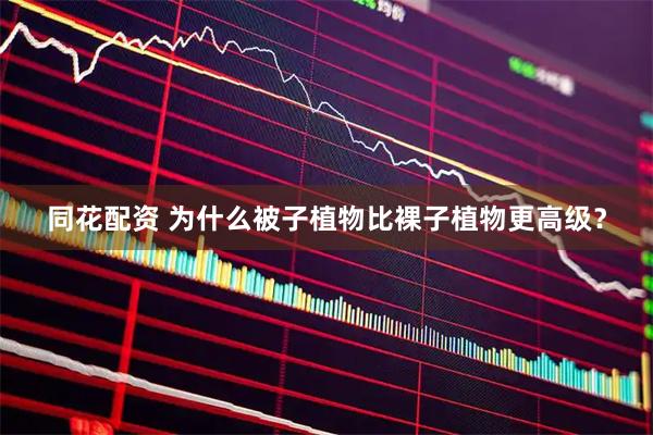 同花配资 为什么被子植物比裸子植物更高级？
