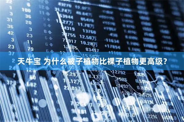 天牛宝 为什么被子植物比裸子植物更高级？