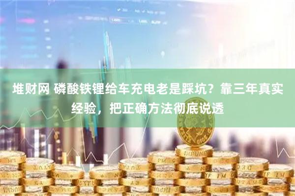 堆财网 磷酸铁锂给车充电老是踩坑?靠三年真实经验,把正确方法彻底说透