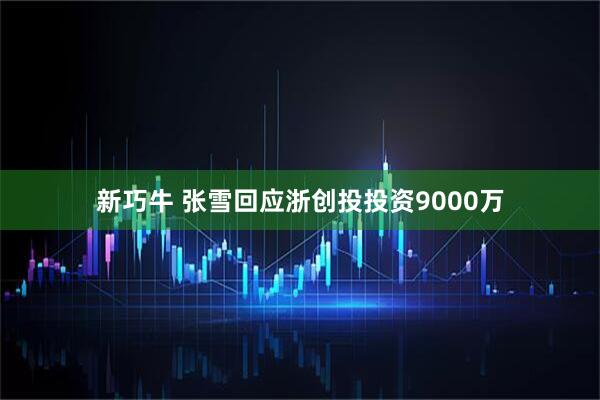 新巧牛 张雪回应浙创投投资9000万
