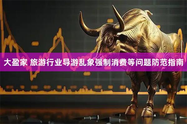 大盈家 旅游行业导游乱象强制消费等问题防范指南