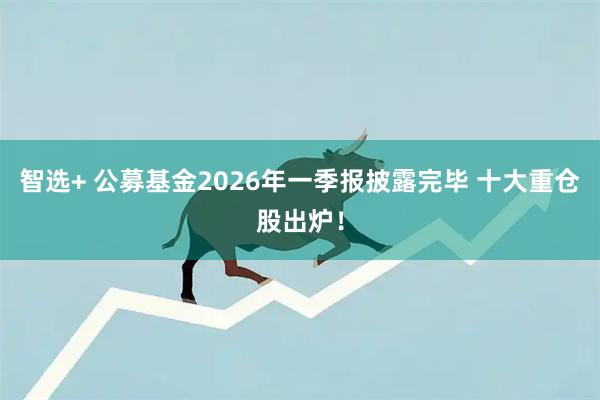 智选+ 公募基金2026年一季报披露完毕 十大重仓股出炉!