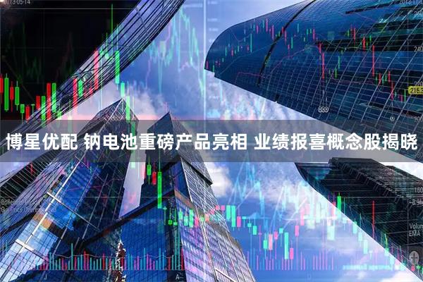 博星优配 钠电池重磅产品亮相 业绩报喜概念股揭晓