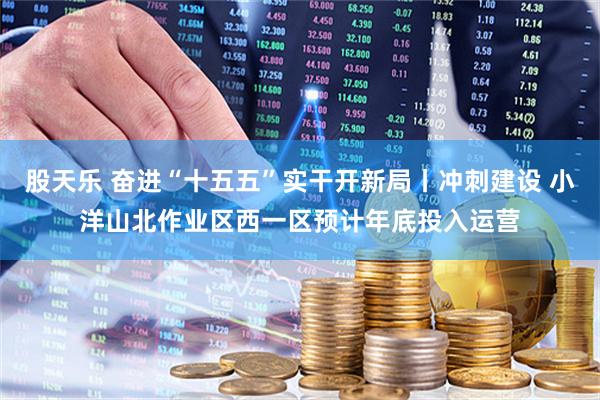 股天乐 奋进“十五五”实干开新局丨冲刺建设 小洋山北作业区西一区预计年底投入运营
