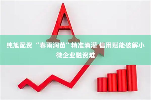 纯旭配资 “春雨润苗”精准滴灌 信用赋能破解小微企业融资难