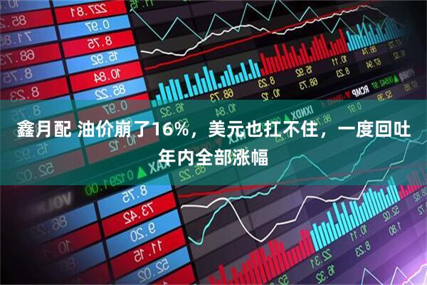 鑫月配 油价崩了16%,美元也扛不住,一度回吐年内全部涨幅