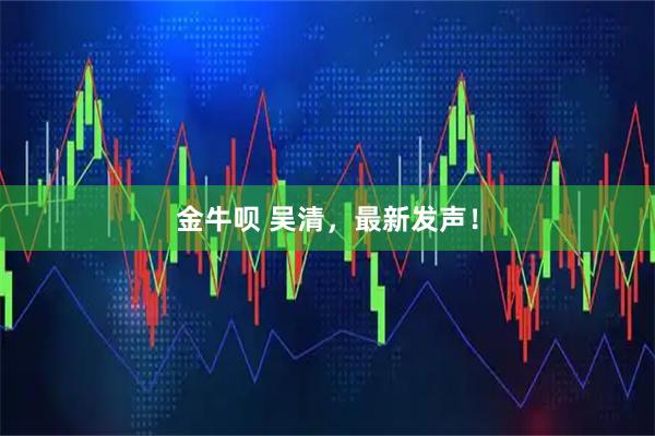 金牛呗 吴清，最新发声！
