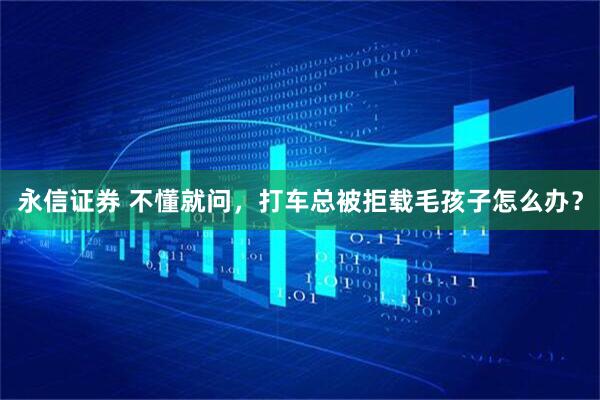 永信证券 不懂就问，打车总被拒载毛孩子怎么办？