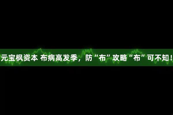 元宝枫资本 布病高发季，防“布”攻略“布”可不知！