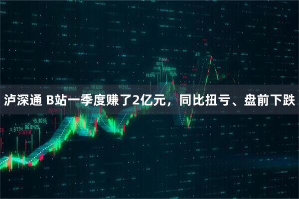 泸深通 B站一季度赚了2亿元,同比扭亏、盘前下跌