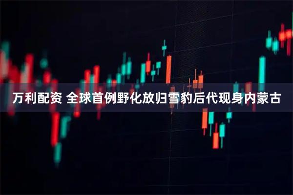 万利配资 全球首例野化放归雪豹后代现身内蒙古