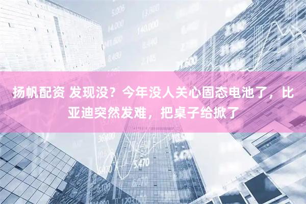 扬帆配资 发现没？今年没人关心固态电池了，比亚迪突然发难，把桌子给掀了